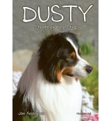 Dusty 7: Stratený bez stopy