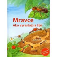 Mravce - ako vyrastajú a žijú