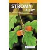 Stromy a kry