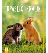 Trpasličí králik