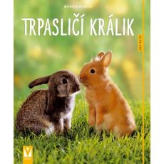 Trpasličí králik