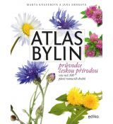 Atlas bylin