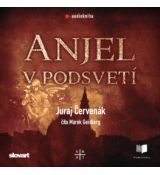 Audiokniha - Anjel v podsvetí