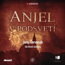 Audiokniha - Anjel v podsvetí