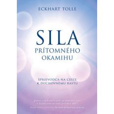 Sila prítomného okamihu-sprievodca