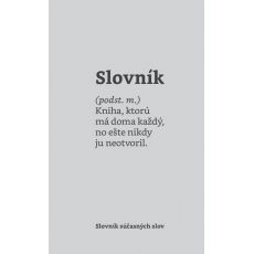 Slovník súčasných slov