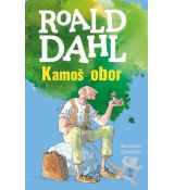 Kamoš obor