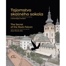 Tajomstvo skalného sokola