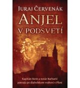 Anjel v podsvetí - Barbarič a Stein 7