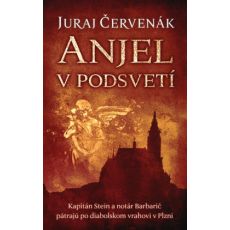 Anjel v podsvetí - Barbarič a Stein 7