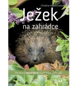 Ježek na zahrádce