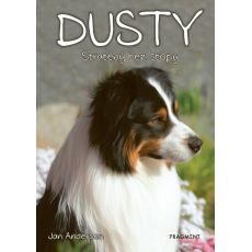 Dusty 7: Stratený bez stopy