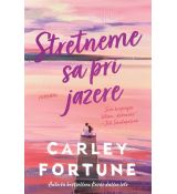 Stretneme sa pri jazere