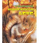 V tajomnom slovenskom lese