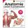 Anatomie cvičení a protahování