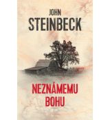 Neznámemu Bohu