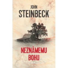Neznámemu Bohu