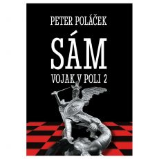 Sám vojak v poli 2