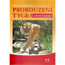 Probouzení tygra Léčení traumatu
