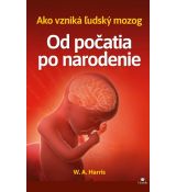 Od počatia po narodenie - ako vzniká ľudský mozog