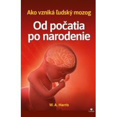 Od počatia po narodenie - ako vzniká ľudský mozog