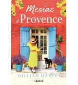 Mesiac v Provence