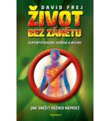 Život bez zánětu