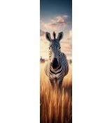 3D záložka - Zebra