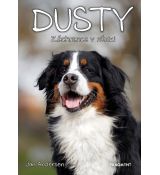 Dusty 9: Záchranca v núdzi