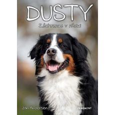 Dusty 9: Záchranca v núdzi