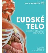 Ľudské telo