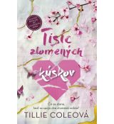 Tisíc zlomených kúskov