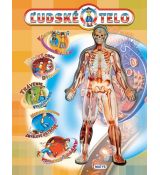 Ľudské telo