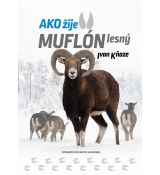 Ako žije muflón lesný