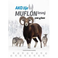 Ako žije muflón lesný