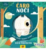 Čaro noci - svet zvierat