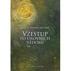 Vzestup po úrovních vědomí