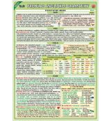 Veľký prehľad anglickej gramatiky