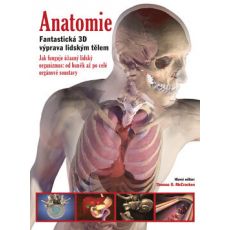 Anatomie