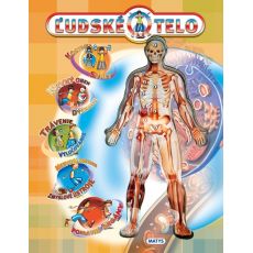 Ľudské telo