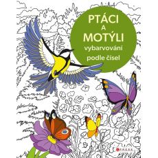Vybarvování podle čísel: Ptáci a motýli