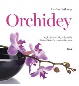 Orchidey
