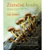 Zázračné houby