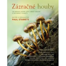 Zázračné houby