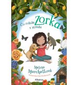 Čo robila Zorka v stredu