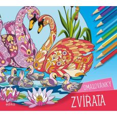 Zvířata - omalovánky
