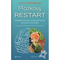 Mozkový restart