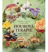 Houbová terapie