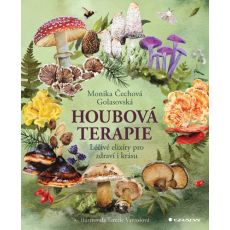 Houbová terapie