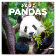 Poznámkový kalendár Pandy 2027, nástenný kalendár
